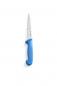 Preview: Filetiermesser "HACCP", blau, 150 mm, mit Kunststoffgriff